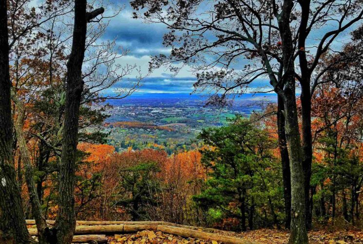 mount nittany, hike, fall leaves, view of state college